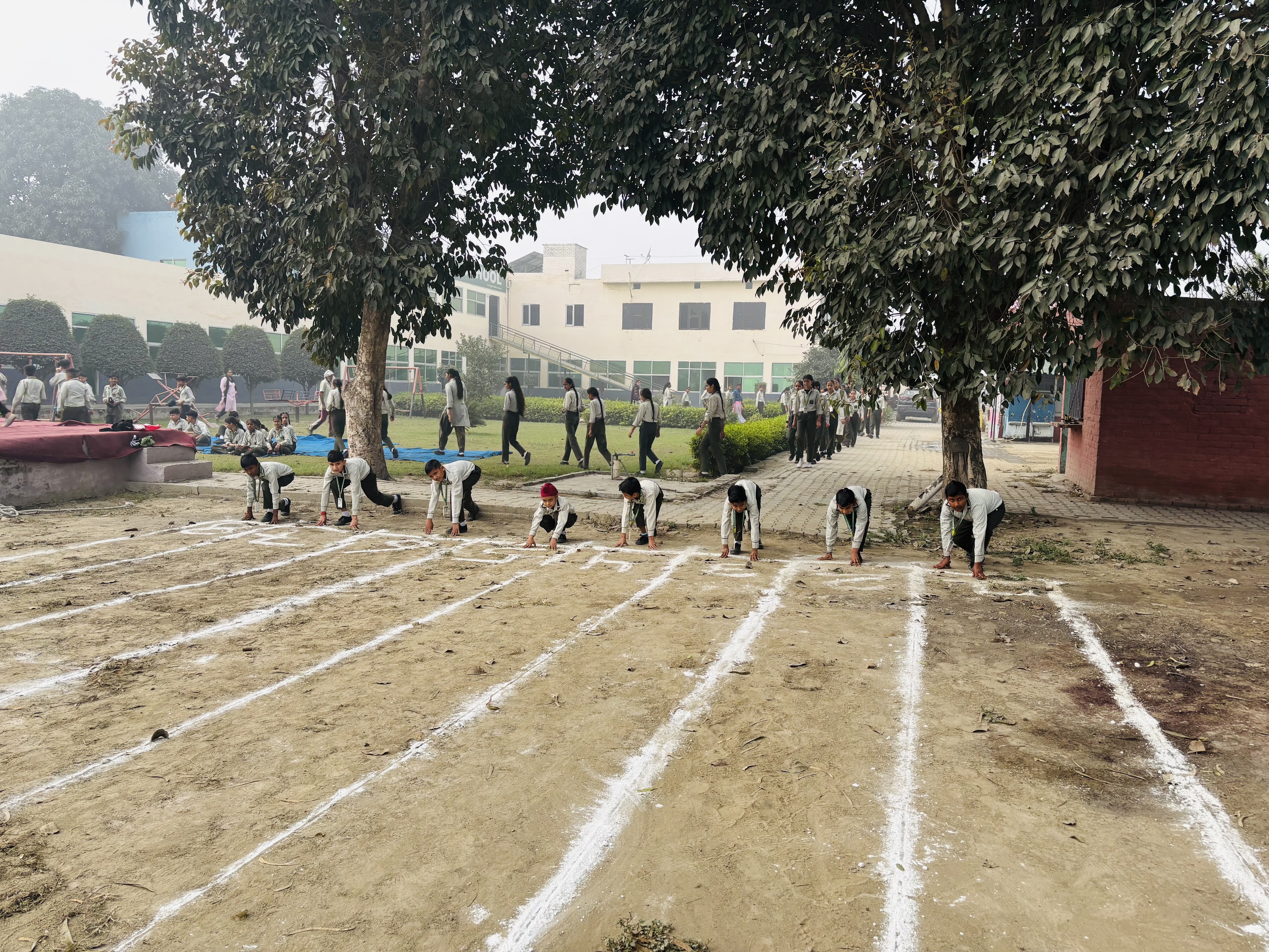 School Playground and Sports Area